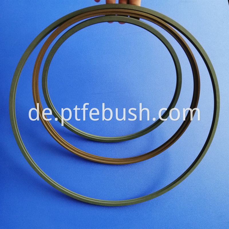 PTFE Step Seal